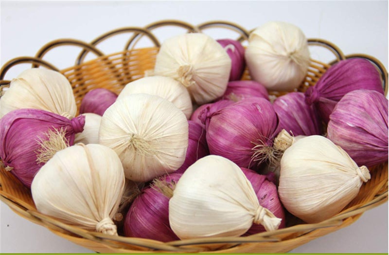Zzooi Artificial Lifelike Fake Garlic Faux Garlic White and Red 10PCS Totall - Image 1